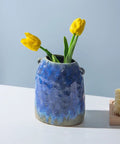 Sea Moss Case by BIG BAG