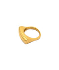 Sterling Gold Ring by CRUX