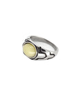Citreon Color Rings by CRUX